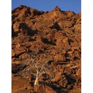  Verbrandeberge, Twyfelfontein, Namibia, Africa 