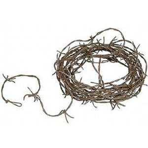  Beistle Rusty Barbed Wire PVC 12 Feet (3 Pack) Health 