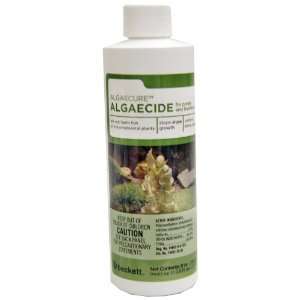   AQ8 8 Ounce Algaecure Algaecide For Ponds Patio, Lawn & Garden