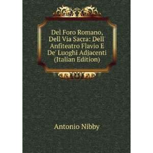   Flavio E De Luoghi Adjacenti (Italian Edition) Antonio Nibby Books