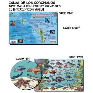  Coronados Islands (Mexico) Fish ID