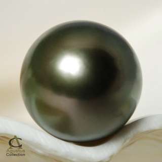 Tahiti Cook Island Black Pearls by Agustus Collection