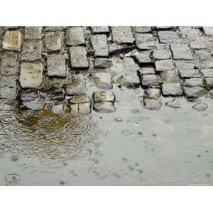  Raindrops on a Puddle on a Cobblestone Road, New York, New 