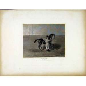  Tartar C1843 Antique Print Saddle Horse Favourite