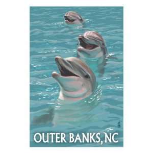 Outer Banks, North Carolina   Dolphins Premium Poster Print, 12x16