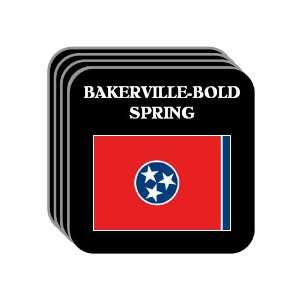  US State Flag   BAKERVILLE BOLD SPRING, Tennessee (TN) Set 
