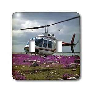 VWPics Helicopter   A Helicopter lands in a field of fireweed off 
