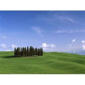 Val dOrcia, Countryside View, Green Grass and Cypress Trees, Tuscany 