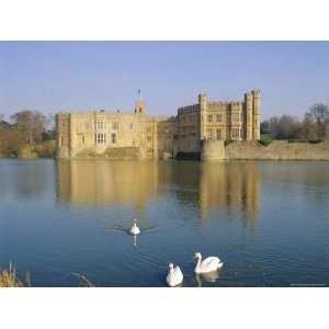  Swans in Front of Leeds Castle, Kent, England Photographic 
