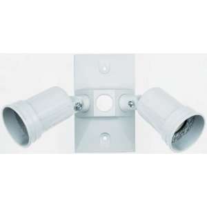 com Pass & Seymour WPLKIT4 Outdoor Two Light Downward Wall Sconce Kit 