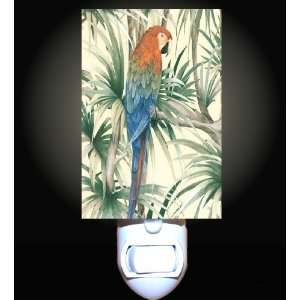 Jungle Parrot Decorative Night Light