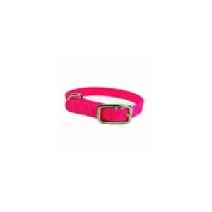  Hamilton Buckle Nylon Dog Collar Hot Pink 1 3/8 X 10 Pet 