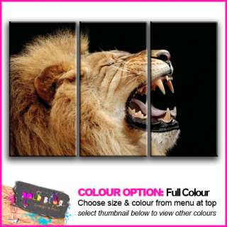 PREMIUM NEW   Animal Lion Roar   10 COLOURS / SIZES  