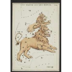  Leo Major,Leo Minor,constellations,astronomy,lions,leo 