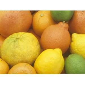  Citrus Fruits. Grapefruit, Tangerine, Ugli, Orange, Lemon 