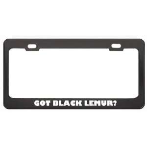 Got Black Lemur? Animals Pets Black Metal License Plate Frame Holder 