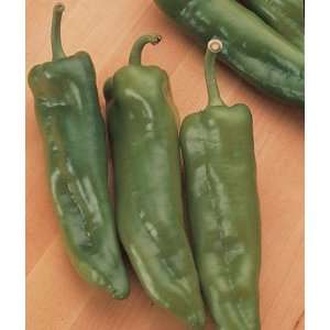  Pepper, Sweet, Four Way Hyb 1 Pkt. (30 Seeds) Patio, Lawn 