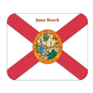  US State Flag   Juno Beach, Florida (FL) Mouse Pad 