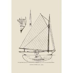    Exclusive By Buyenlarge Cat Boat Dodge 20x30 poster