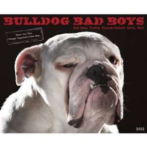  Bulldog Bad Boys 2012 Wall Calendar