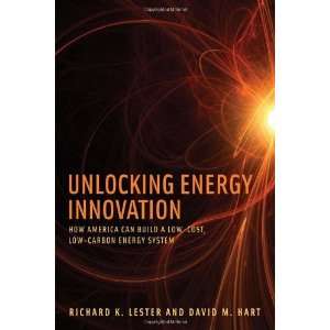   Cost, Low Carbon Energy System [Hardcover] Richard K. Lester Books