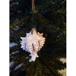  Pink Murex Cut Glitter Christmas Ornament Seashell 