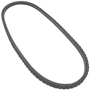  Allstar Performance 86124 V BELT 42.0 Automotive