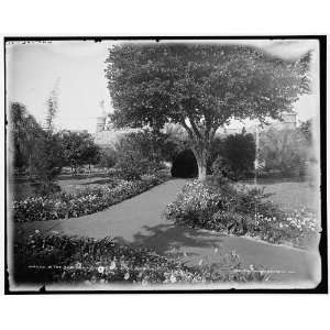  In the gardens at Tampa Bay Hotel,Florida