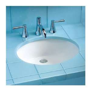  ADA Compliant Undermount Sink with SanaGloss Glazing 