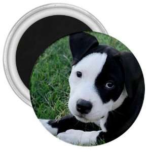  American Pit Bull Puppy Dog 3in Magnet S0013 Everything 