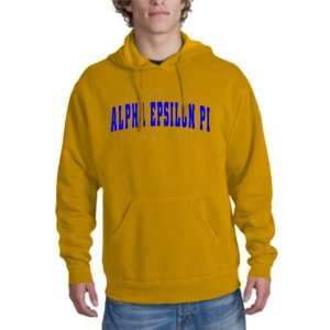  Alpha Epsilon Pi letterman hoodie