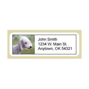  Bedlington Terrier Address Labels