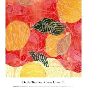  Citrus Limon II (SM.) Poster by Ouida Touchon (8.00 x 9.00 