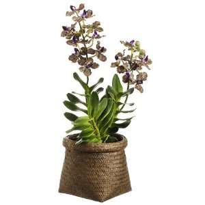  Faux 22 Vanda Orchid Plant in Basket Purple Green