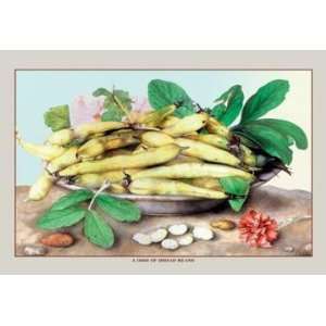 Exclusive By Buyenlarge A Dish of Broad Beans 20x30 poster  