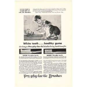  1931 Girl Brush Dog Teeth Pro phy lac tic Toothbrush Print 