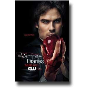  The Vampire Diaries Poster   TV Show Promo Flyer   11 X 17 