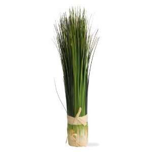  Short Bundled Onion Grass