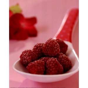    Pink Raspberries by Martina Schindler 9x12