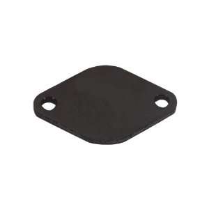   Canton Racing Products 80 112 Water Neck Block Off Plate Automotive
