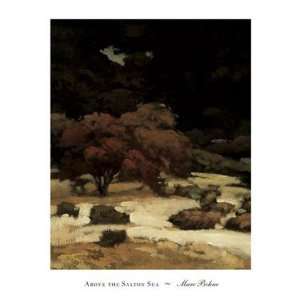  Salton Sea Finest LAMINATED Print Marcus Bohne 10x12