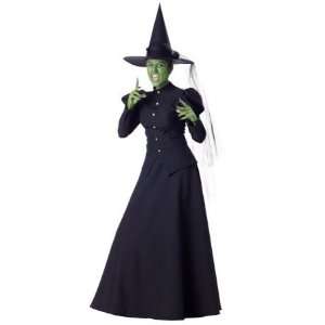  Costumes For All Occasions Ic1022Md Wicked Witch Adult Med 