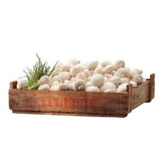 Crate of Fresh White Mushroom   48W x 26H   Peel and Stick Wall 