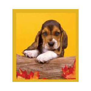  Magnetic Bookmark Basset Puppy, Beautiful and Colorful 