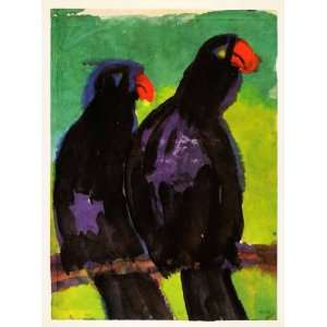  1966 Print Emil Nolde Watercolor Parrots Wildlife Birds 