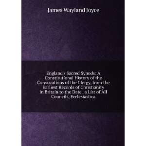  Englands Sacred Synods A Constitutional History of the 