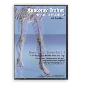  Anatomy Trains   Deep Front Line Part 1 Pelvis & Legs 