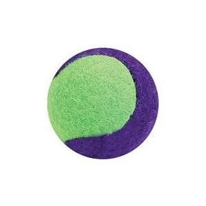  Best Quality Sporty Tennis Balls Bulk Display / Size 36 