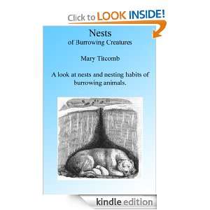 Nests of Burrowing Animals Illustrated (Curious Homes) Mary Titcomb 