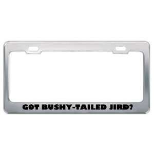 Got Bushy Tailed Jird? Animals Pets Metal License Plate Frame Holder 